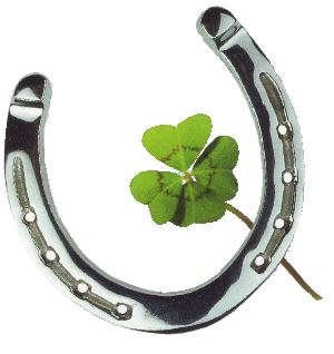 Neujahrsgruß 2011 und Suchspiel 2011