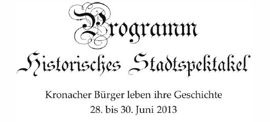 programm2013